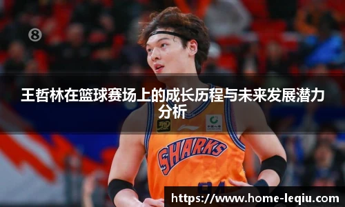 王哲林在篮球赛场上的成长历程与未来发展潜力分析